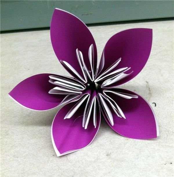 Create Origami Flowers to Learn About Fractions: 3rd Grade Math