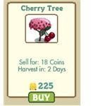 Cherrry tree