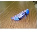 Pepsi shoe