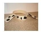 Dog ears thumbnail-1