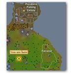 Hunting shops runescape