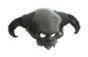 Spine-Chilling Skull