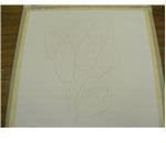 Draw the flower shapes
