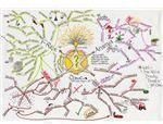 Guru Mindmap