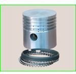 Piston with its Rings