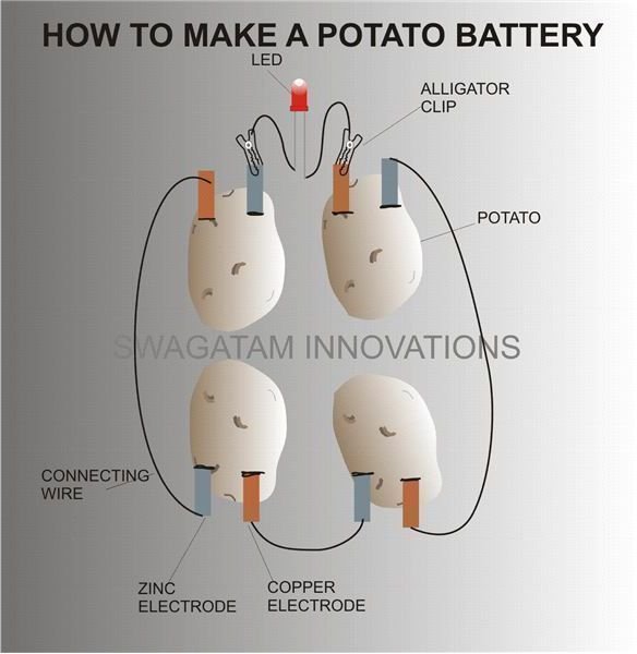 Potato Battery Light Bulb