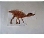 Choose a picture of an animal