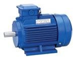 Electric Motor
