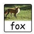 Three Letter Words for Preschool: Letter F