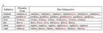 Past Subjunctive