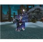Argent Tournament Undercity Champion