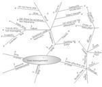 Mind Mapping Example of Time Management