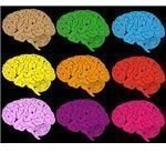 Colorful Brain