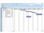 Microsoft Project Task Management