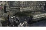 Fourth COG Tag