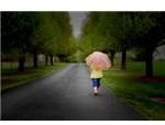 umbrella schools in maryland
