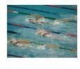 morguefile, swim lanes, by dtcreations
