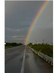 rainbow-CRW 5877