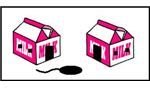 The Mouse Is between the Houses