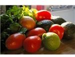 healthy first trimester diet