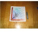 Remove Tape and Add Glitter for Frost