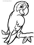 Parrot Coloring Page