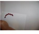 Letter C