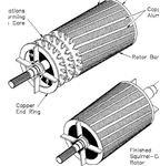 squirrel cage rotor