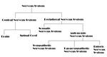Use this chart as a learning aid or as an exercise