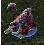 The WoW Random Pet -- the Zergling. Haven't I seen this guy in 