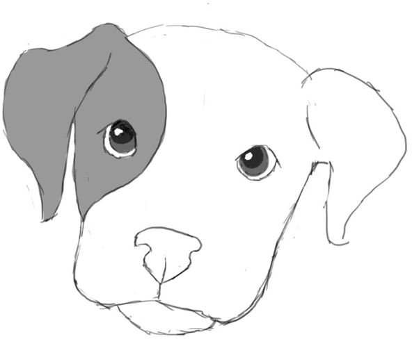 Learn How to Draw a Dog in Photoshop