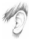Early Childhood Lesson Plans + Human Body - ear fmarkdwhite