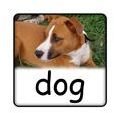 Three Letter Words for Preschool - Letter D