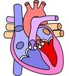 Infant heart murmur