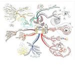 Example of Mind Mapping