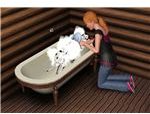 The Sims 3 washing dog