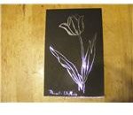 Scratch art tulip