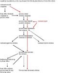 Sample Block Diagram for Kaizen Events