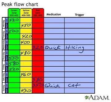 yellow zone peak flow meter