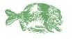 A fish print