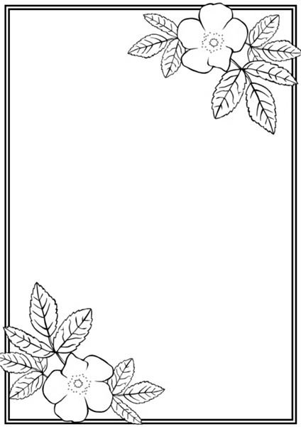 Simple Border Designs