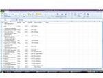 Project and Excel- Initial Excel Worksheet