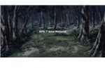 002-Woods02