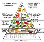 Preschool Theme Healthy Body - food pyramid ohsu.edu