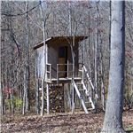 fort