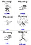 Flashcards 3