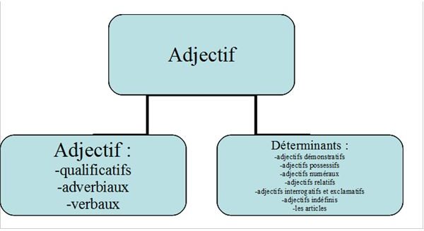 Learn About French Adjectives The Qualifying Adjective