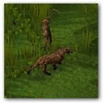 runescape pitfall trap