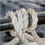 Can you really tie down costs for an Agile project?