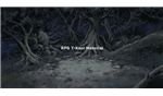 003-Forest02